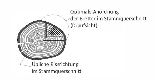 Querschnitt eines Fernambukholzstamms und radiale Orientierung der Bretter.