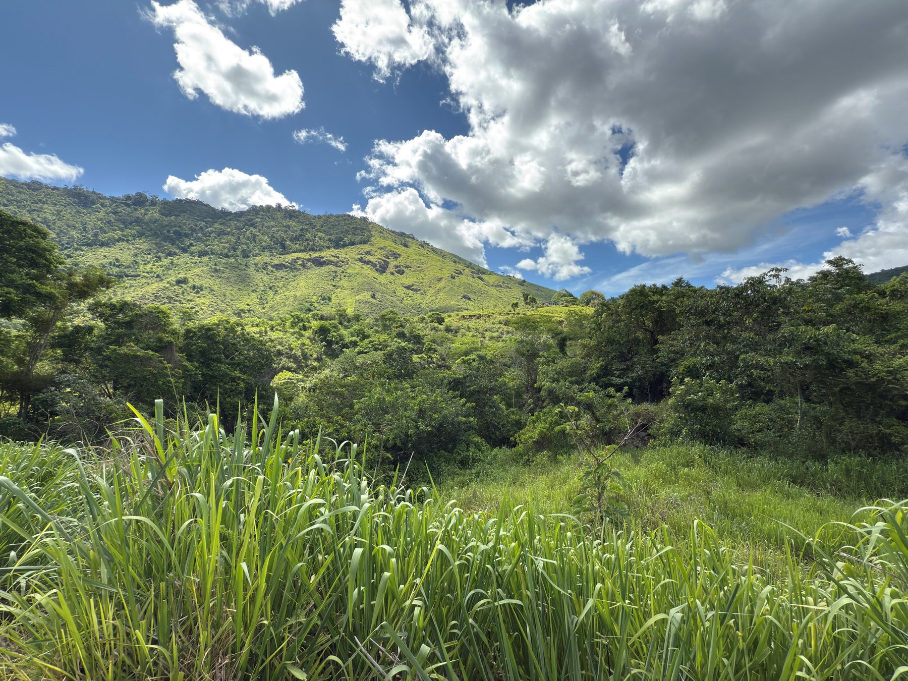 Landschaft im Gebiet der Pataxó Hã-Hã-Hãe.